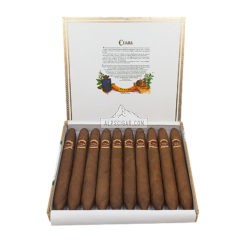 Cuaba Salomones 10 01