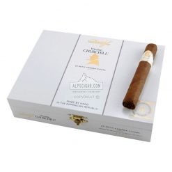 Davidoff Winston Churchill Petit Corona 01