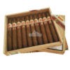 Hoyo de Monterrey Elegantes lcdh 01