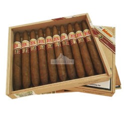 Hoyo de Monterrey Elegantes lcdh 01
