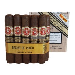 Punch Regios de punch 25 01