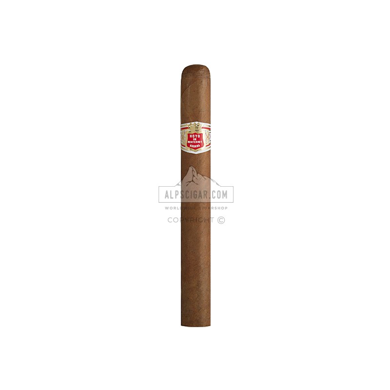Hoyo De Monterrey Palmas Extra 25 02