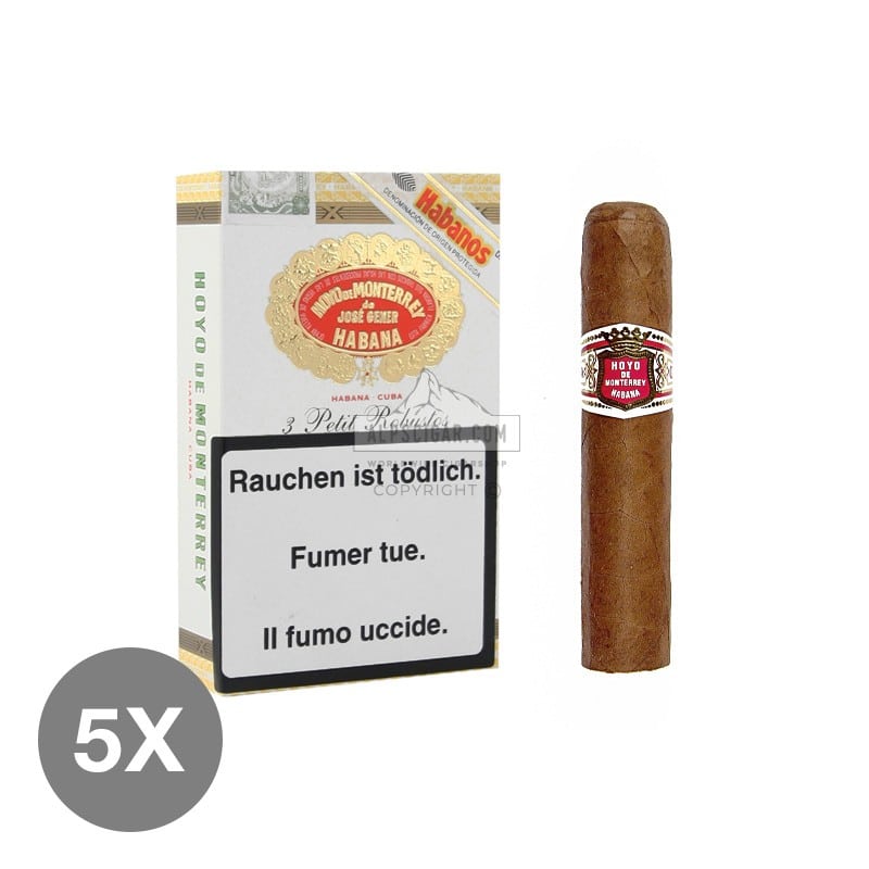 Hoyo de Monterrey Petit Robusto 5x3 01