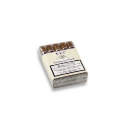 El Viejo Continente Robusto 1