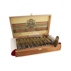 Ashton VSG Enchantment 01