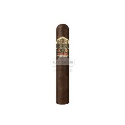 Ashton VSG Pegasus 02