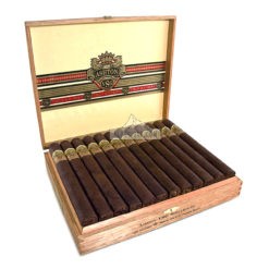 Ashton VSG Spellbound 01
