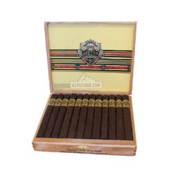 Ashton VSG Sorcerer 24 01