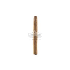 Perdomo Mini Cigarillos Connecticut 02 1
