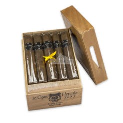 20220228021541 Asylum 13 Hercule 20 01 br backup