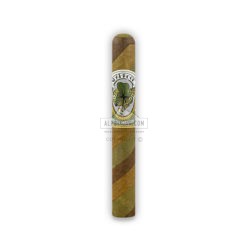 20220309044133 Alec Bradley Filthy Hooligan Shamrock 10 02 br backup