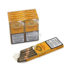 20220316044602 Partagas Chicos 10x5 01 br backup