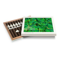 20220328110258 Davidoff Art Limited Edition 2017 10 03 br backup