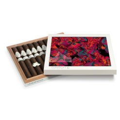 20220328110259 Davidoff Art Limited Edition 2017 10 04 br backup