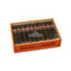 20220330033049 CAO Session Garage Robusto 20 01 br backup