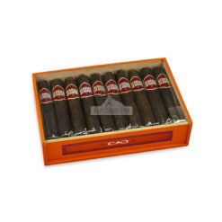 20220330033049 CAO Session Garage Robusto 20 01 br backup