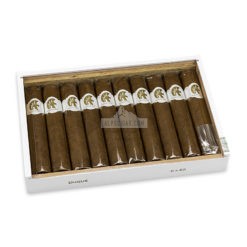 20220413021423 Maestranza Duque 10 01 br backup