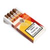AVO Syncro fogata robusto cello 4 cigares br backup