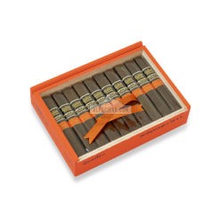 Aging Room Nicaragua Expressivo 01 br backup