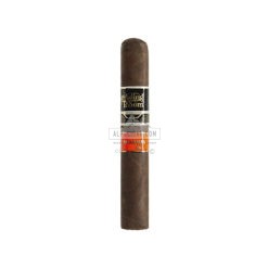 Aging Room Nicaragua Expressivo 03 br backup