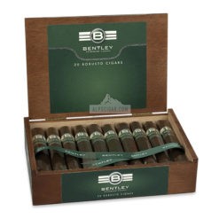 Bentley Robusto 20 01 br backup