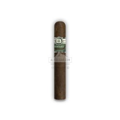 Bentley Robusto 20 02 br backup