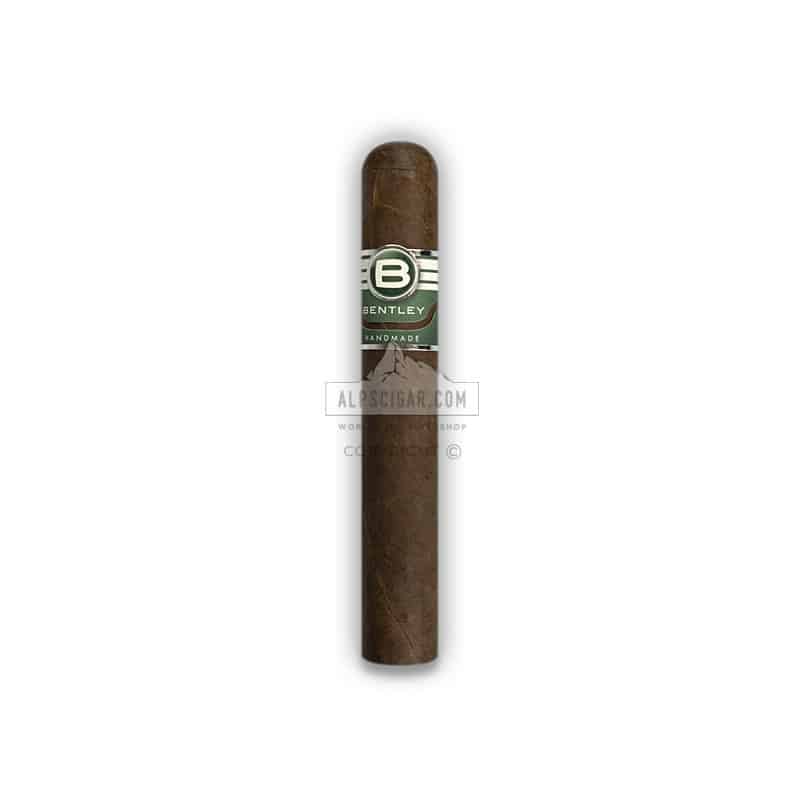 Bentley Robusto 20 02 br backup
