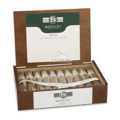 Bentley Robusto White 20 01 br backup