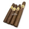 Bolivar Offre Decouverte br backup