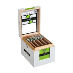 CAO OSA Lot 50 01 1 br backup