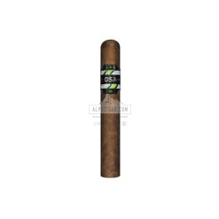 CAO OSA Lot 54 02 1 br backup