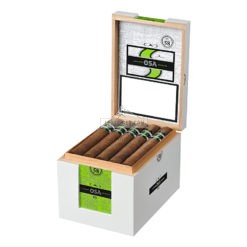 CAO OSA Lot 58 01 1 br backup