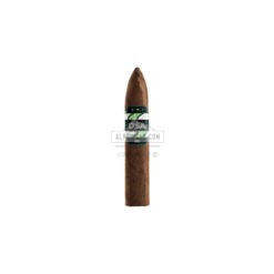 CAO OSA Lot T 02 1 br backup