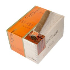 Cain Daytona 543 No. 4 01 br backup