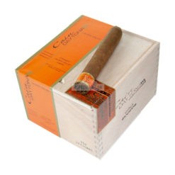 Cain Daytona 550 01 br backup