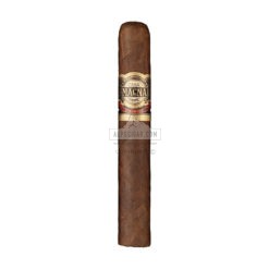 Casa Magna Colorado Gran Toro 02 br backup