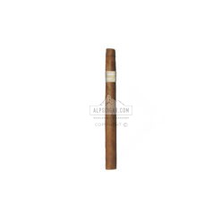 Davidoff Signature Exquisitos 20 02 br backup