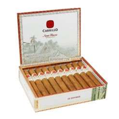 E. P. Carrillo New Wave Connecticut Divinos 02 br backup
