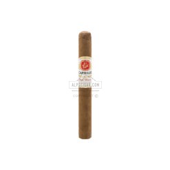 E. P. Carrillo New Wave Connecticut Stella 01 br backup
