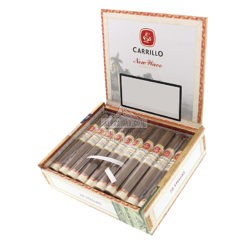 E. P. Carrillo New Wave Connecticut Stella 02 br backup