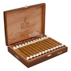 Flor de Selva Churchill 01 br backup