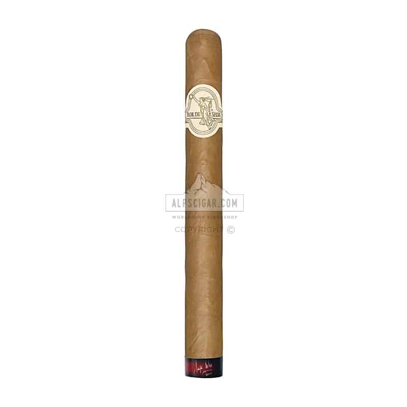 Flor de Selva Churchill Semanario 01 br backup