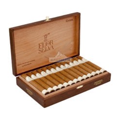 Flor de Selva Corona 02 br backup