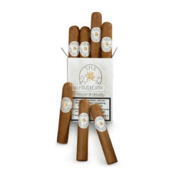 Griffins Short Robusto etui 02 br backup