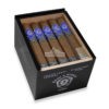 Hiram Solomon Fellow Craft Gran Toro 01 br backup