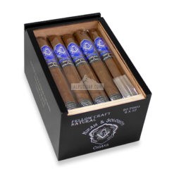 Hiram Solomon Fellow Craft Toro 01 br backup