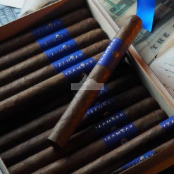 Izambar Blue Ribbon 02 br backup