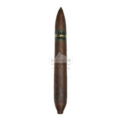 Nicarao Exclusivo Salomón 02 br backup
