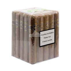 Oro de Esteli Gordo Bundle 01 br backup