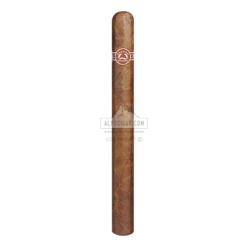 Padron Classic Executive 02 br backup